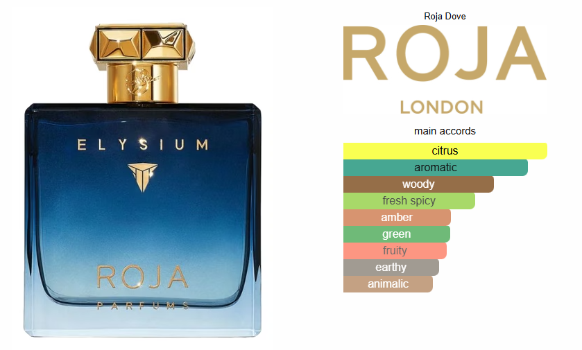 Elysium Pour Homme Inspired Perfume Oil - Aromatic Fougere Fragrance for Men