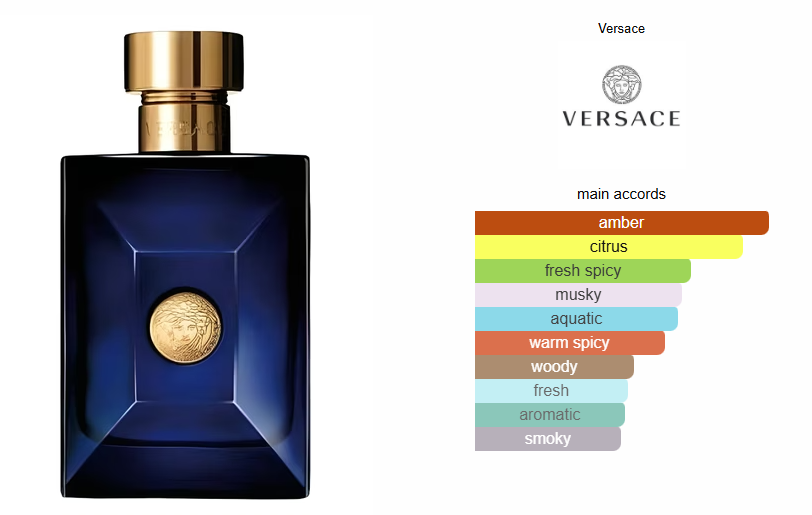 Dylan Blue Versace Inspired Perfume Oil for Men - Premium Aromatic Fougere Fragrance
