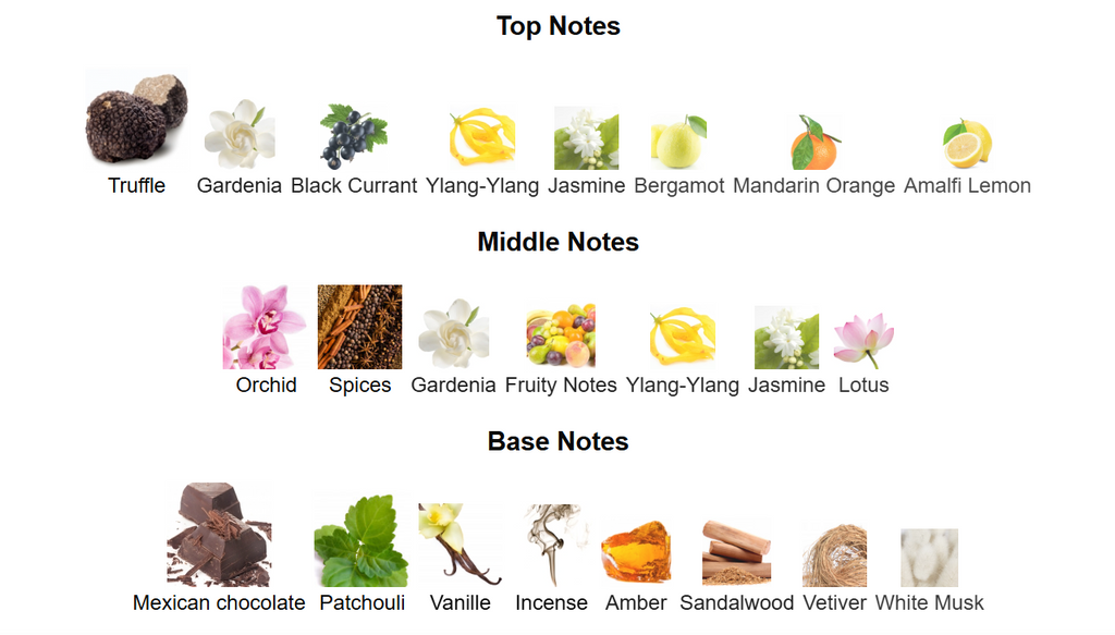 Black Orchid Inspired Perfume Oil | Oriental Floral Fragrance for Women
