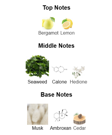 Megamare Inspired Perfume Oil - Aromatic Aquatic Unisex Fragrance